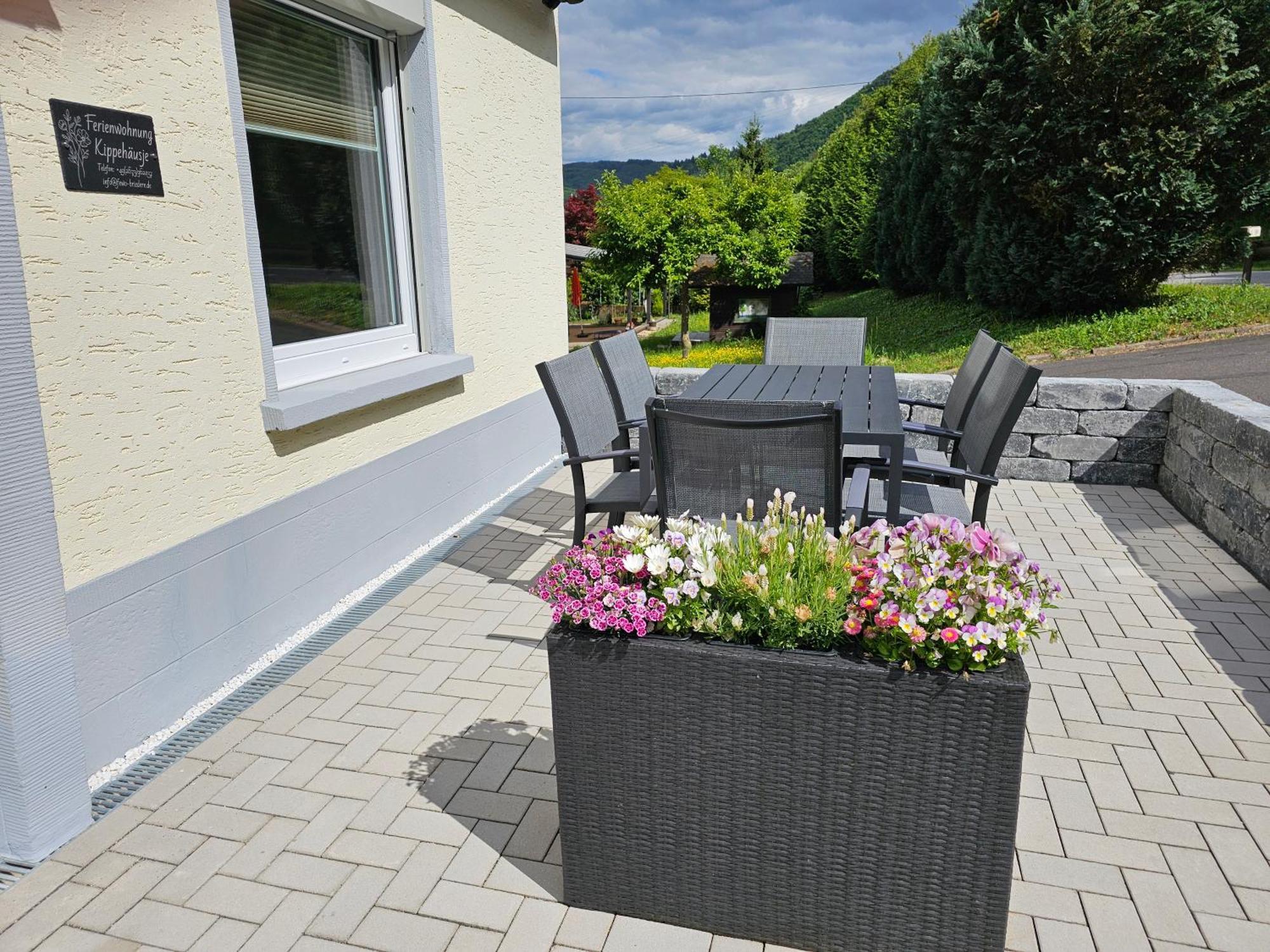 Ferienwohnung Kippehaeusje Briedern エクステリア 写真